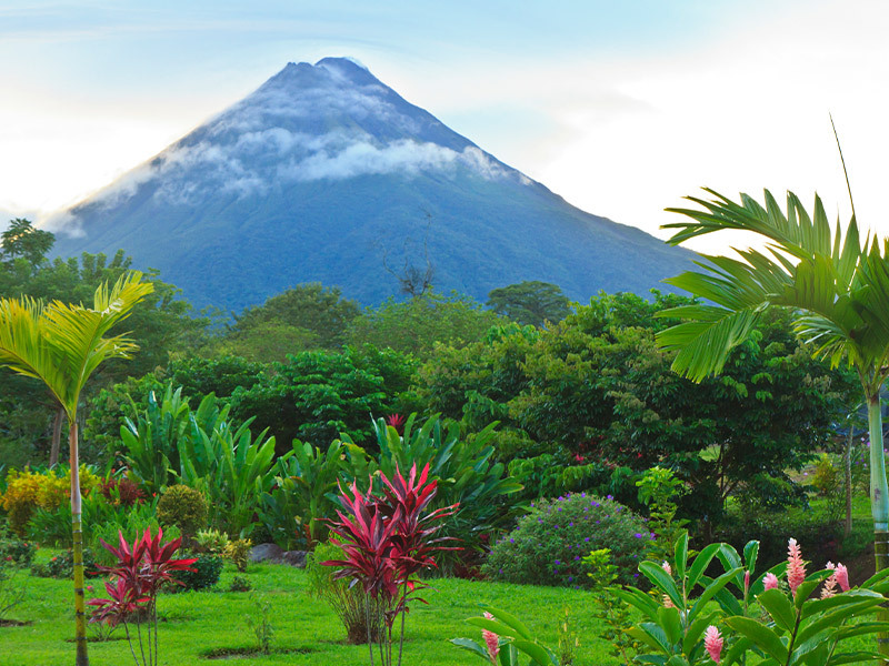 Tropical Americas Cruise